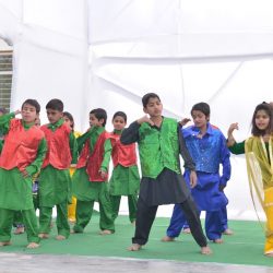 DSC_8419 DSC_8419